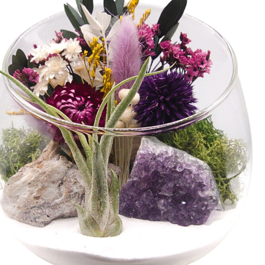 Terrarium bol avec plante aérienne - améthyste