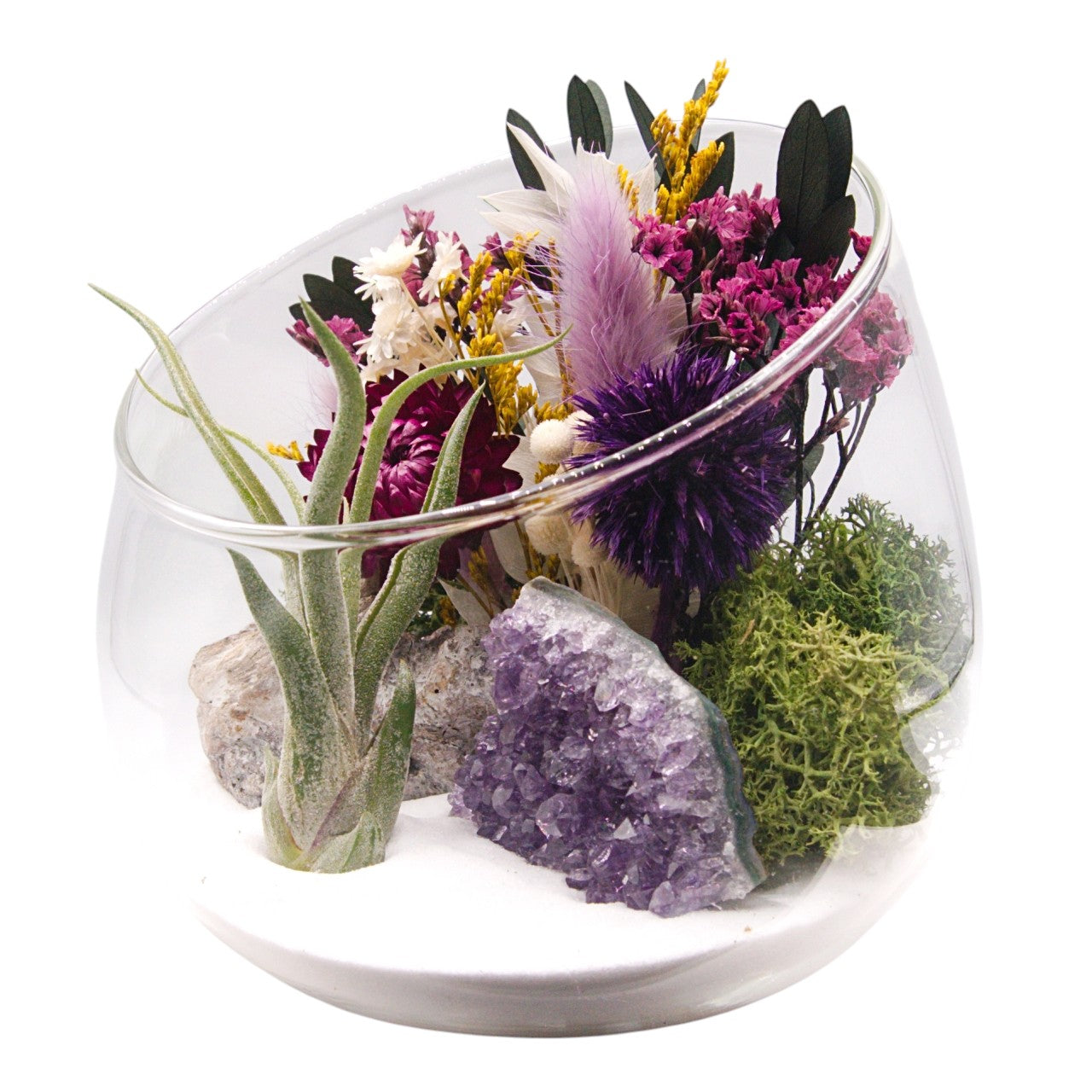 Terrarium bol avec plante aérienne - améthyste