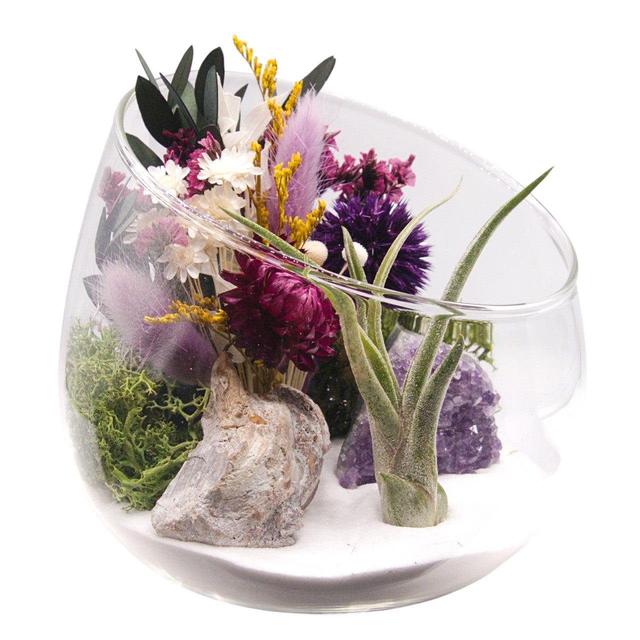 Terrarium bol avec plante aérienne - améthyste