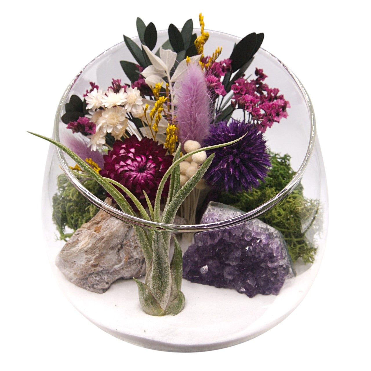 Terrarium bol avec plante aérienne - améthyste