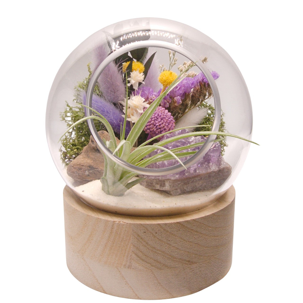 Terrarium à bulle moyen avec base en bois et cristal d'améthyst