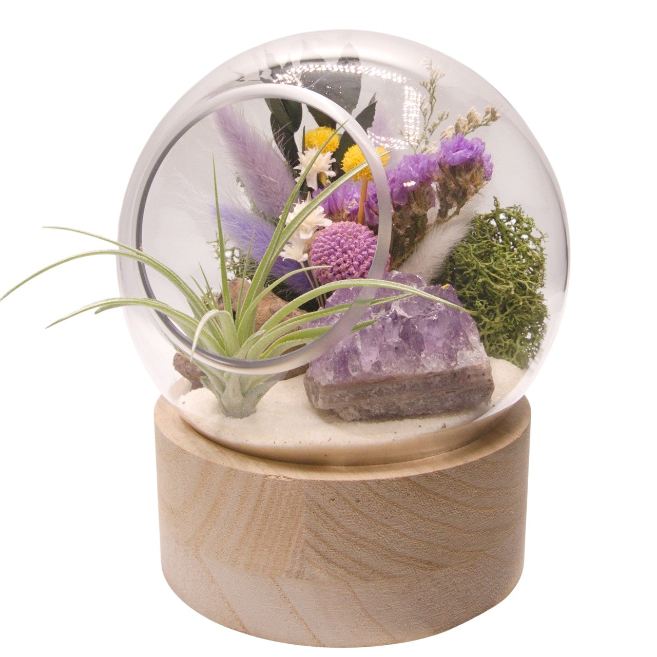 Terrarium à bulle moyen avec base en bois et cristal d'améthyst