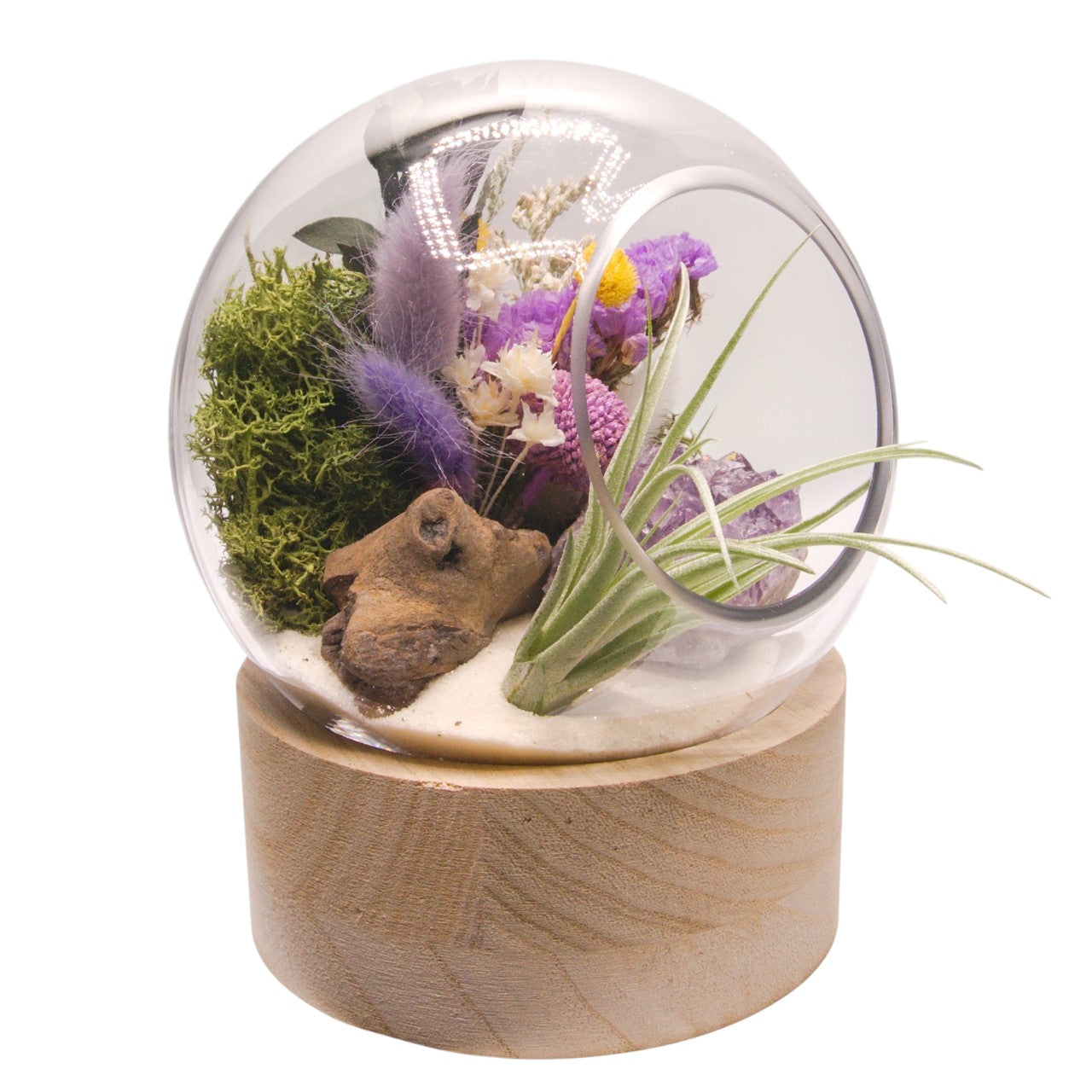 Terrarium à bulle moyen avec base en bois et cristal d'améthyst