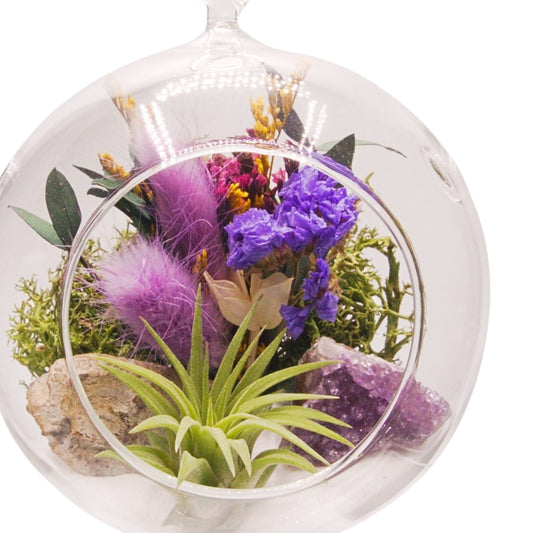 Airplant Bubble Terrarium Small - Purple