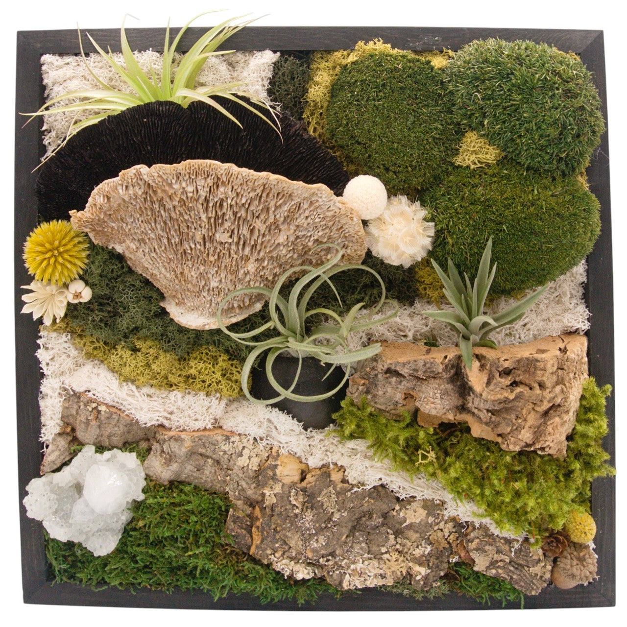 Airplant Moss & Floral Landscape Frame - 12 x 12