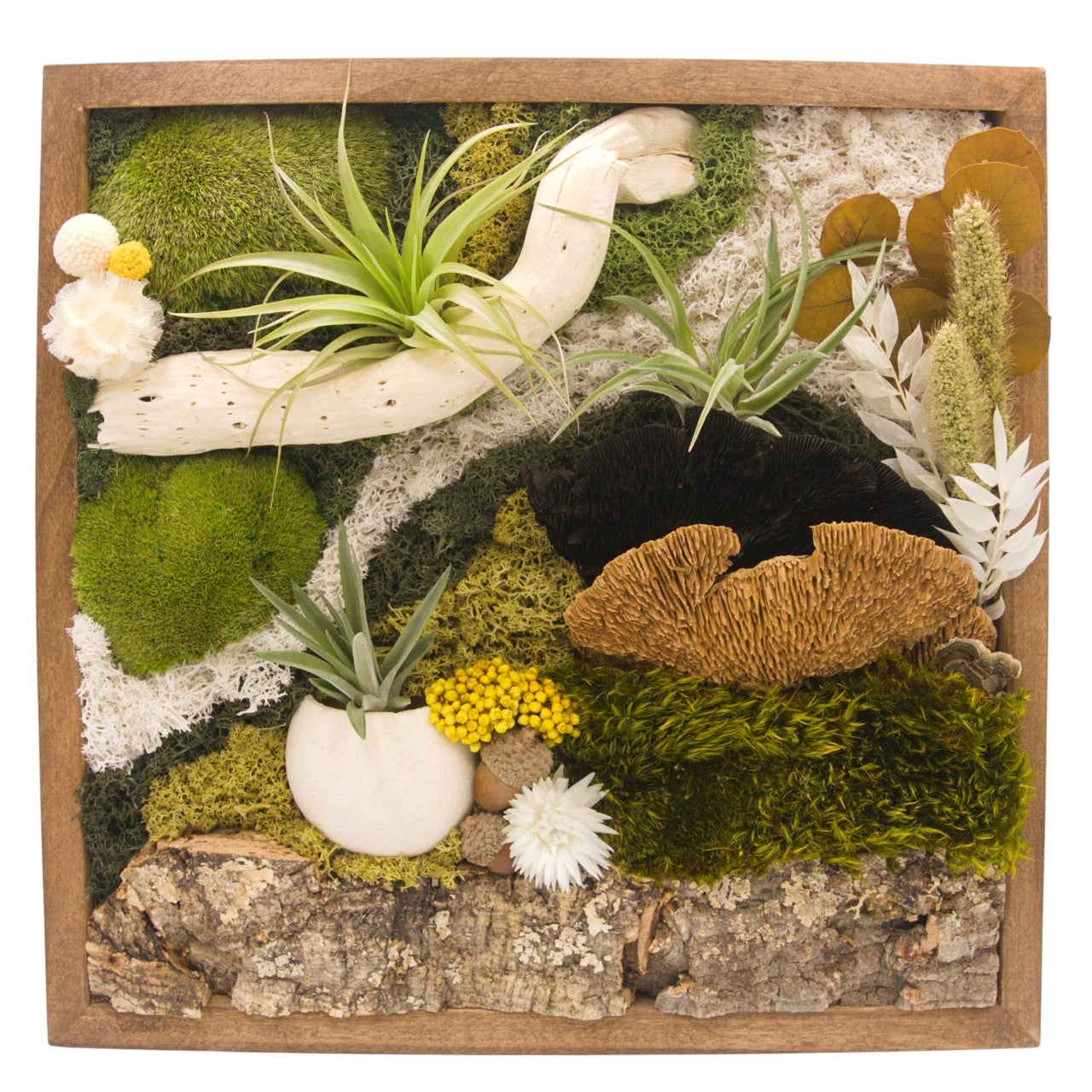 Airplant Moss & Floral Landscape Frame - 12 x 12