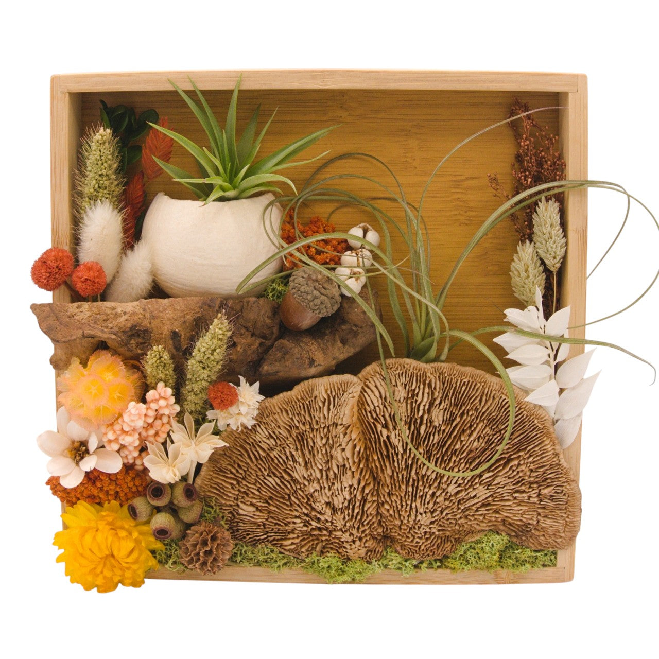 Cadre Paysage avec Plante Aérienne 8x8 - Fleurs corails