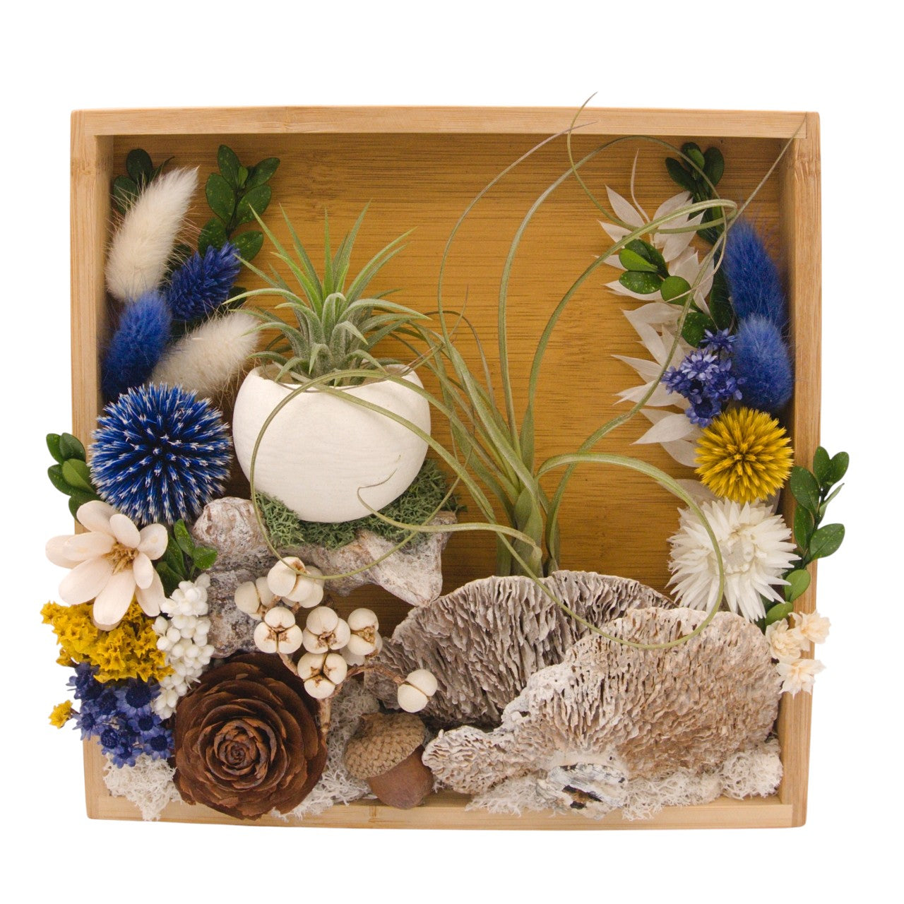 Airplant Landscape Frames 8x8 Blue Flowers