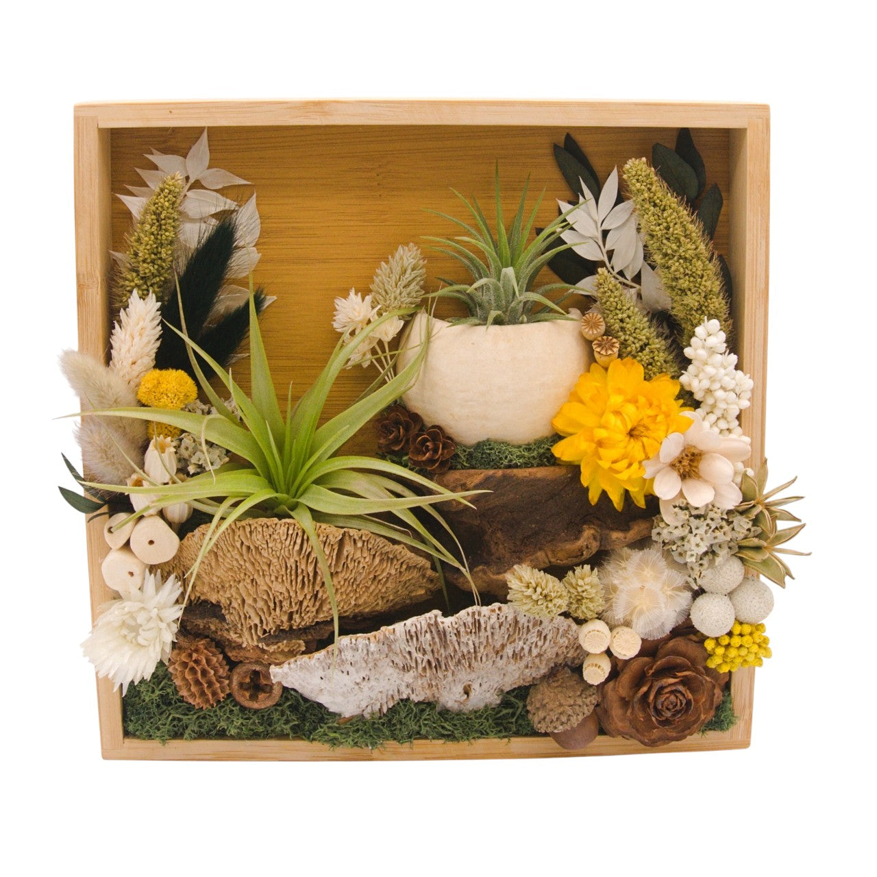 Airplant Landscape Frames 8x8 Green Flowers