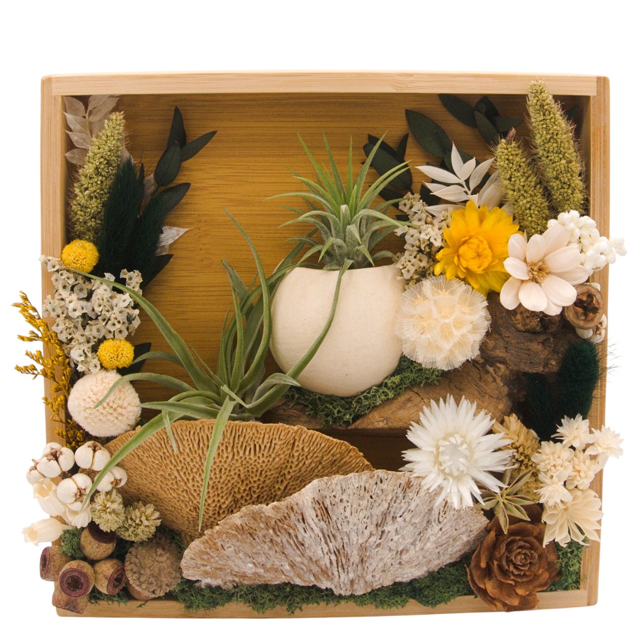 Airplant Landscape Frames 8x8 Green Flowers