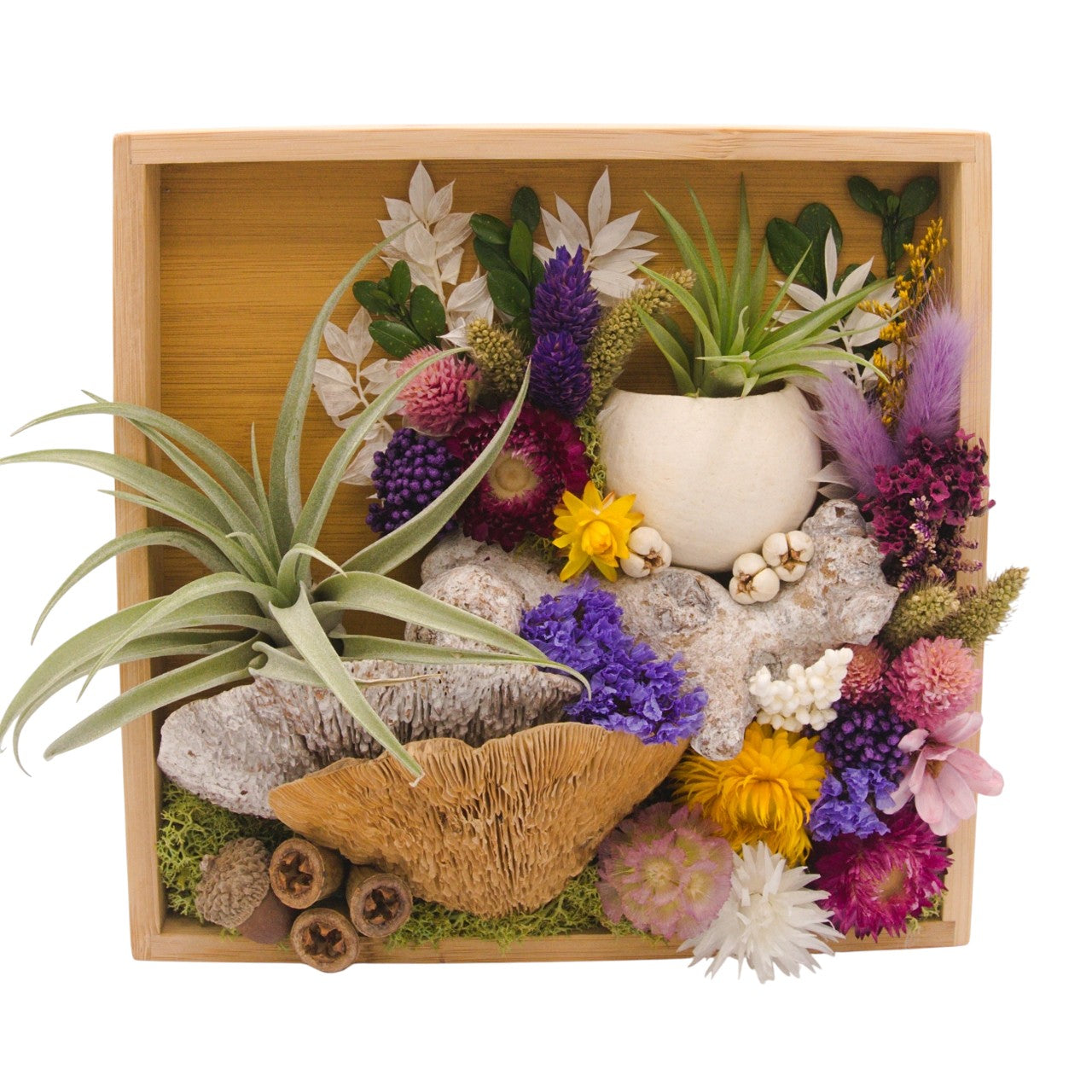 Airplant Landscape Frames 8x8 Purple Flowers