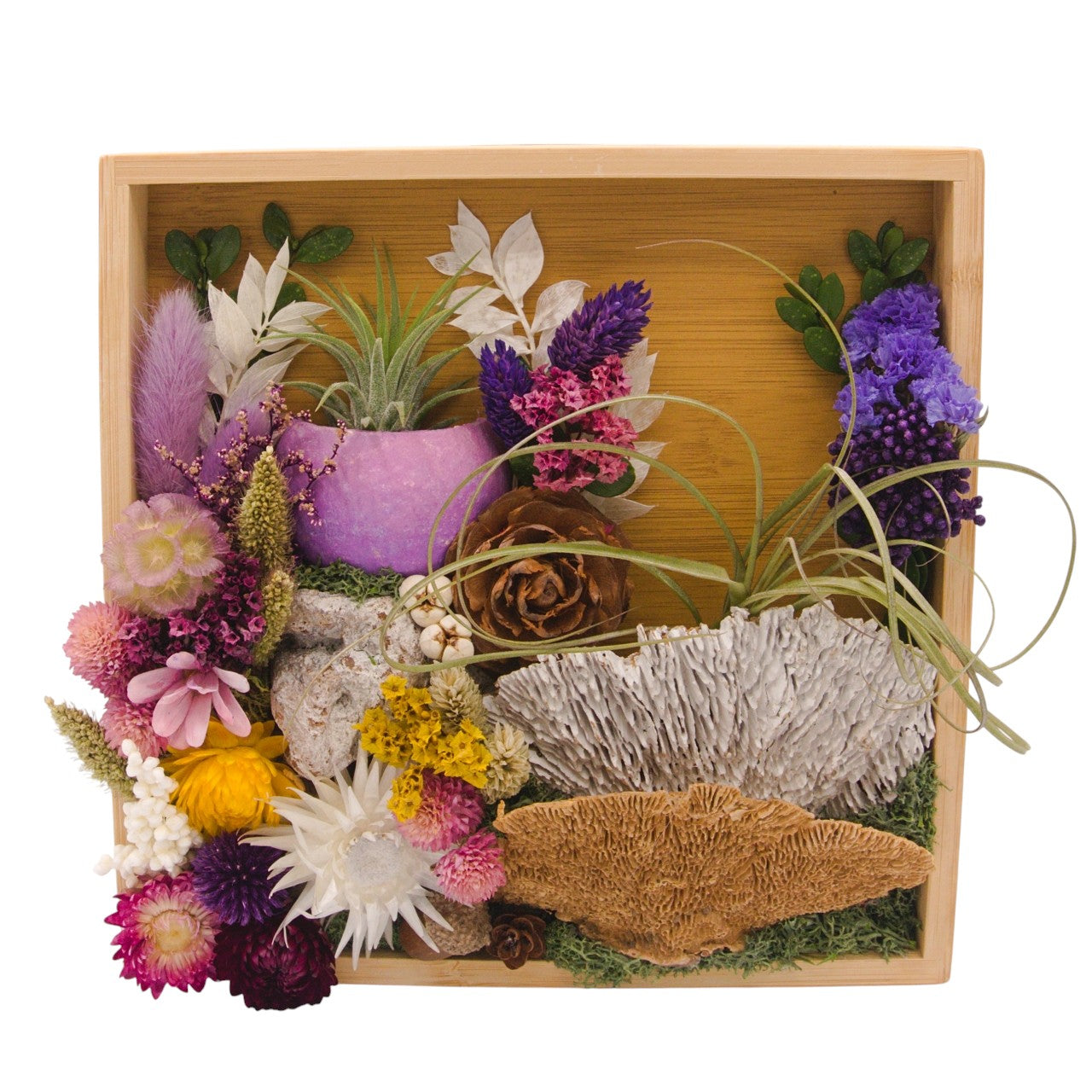 Airplant Landscape Frames 8x8 Purple Flowers