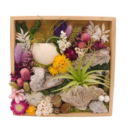 Airplant Landscape Frames 8x8 Purple Flowers