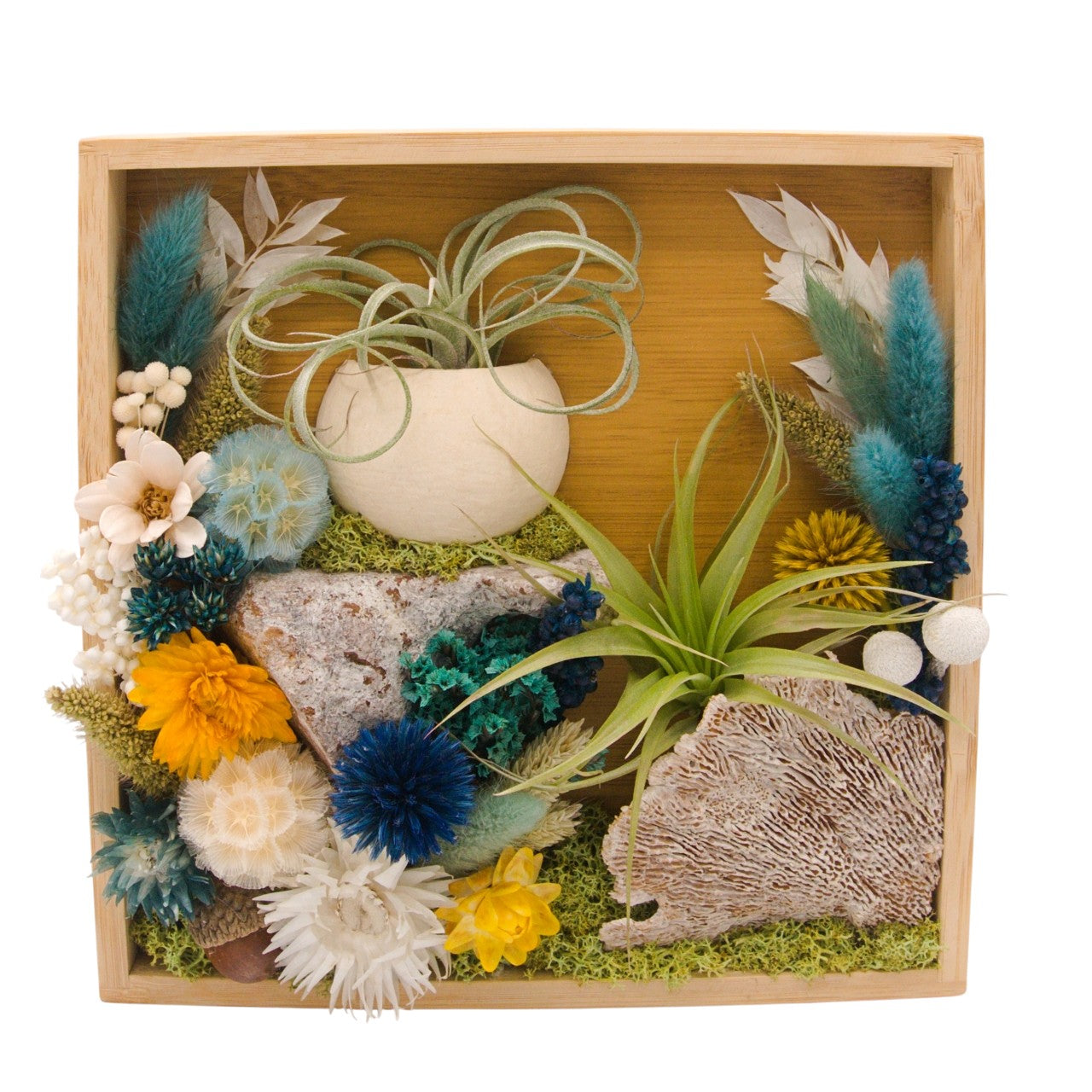 Airplant Landscape Frames 8x8 Turquoise Flowers