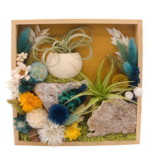 Airplant Landscape Frames 8x8 Turquoise Flowers