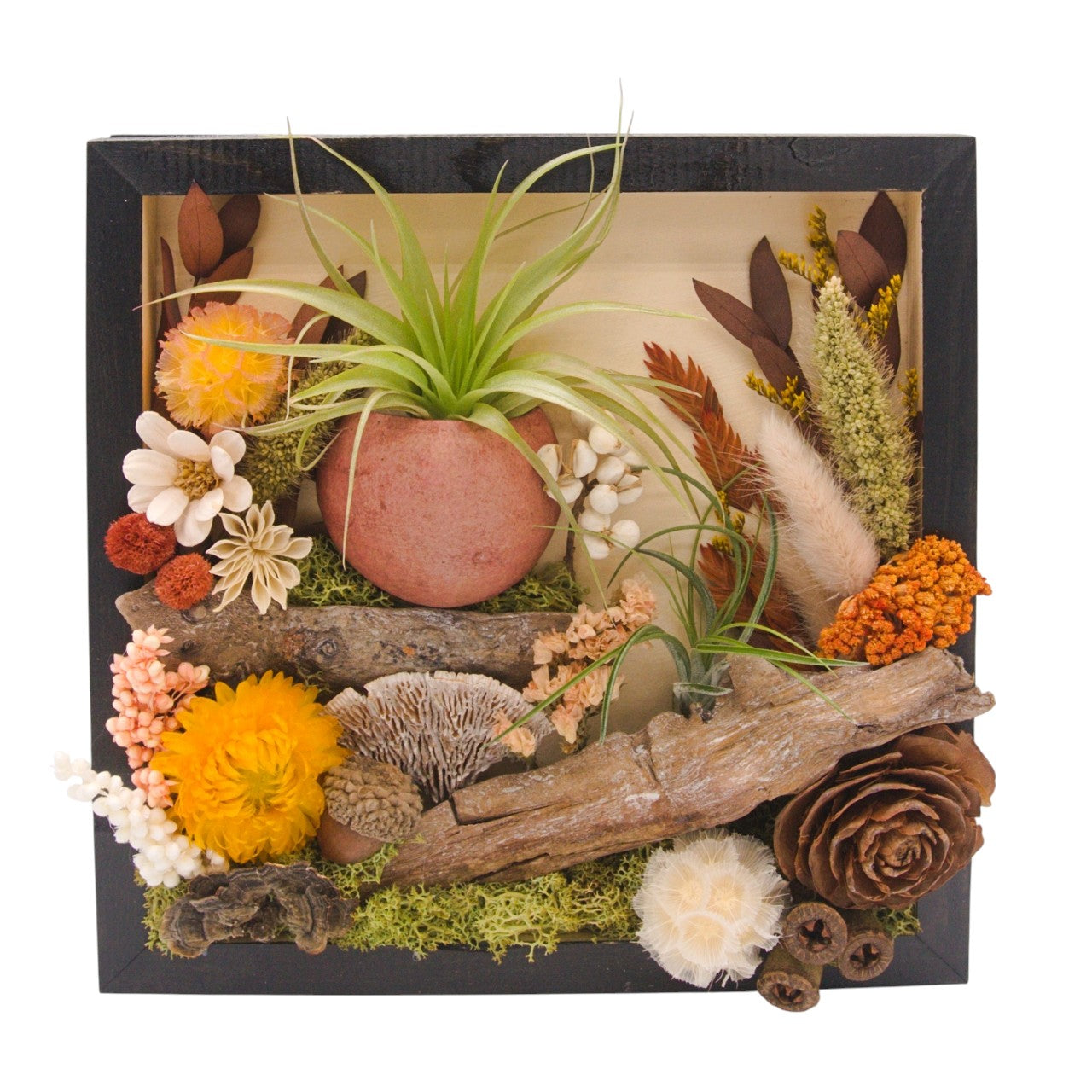 Cadre Paysage avec Plante Aérienne 8x8 - Fleurs corails