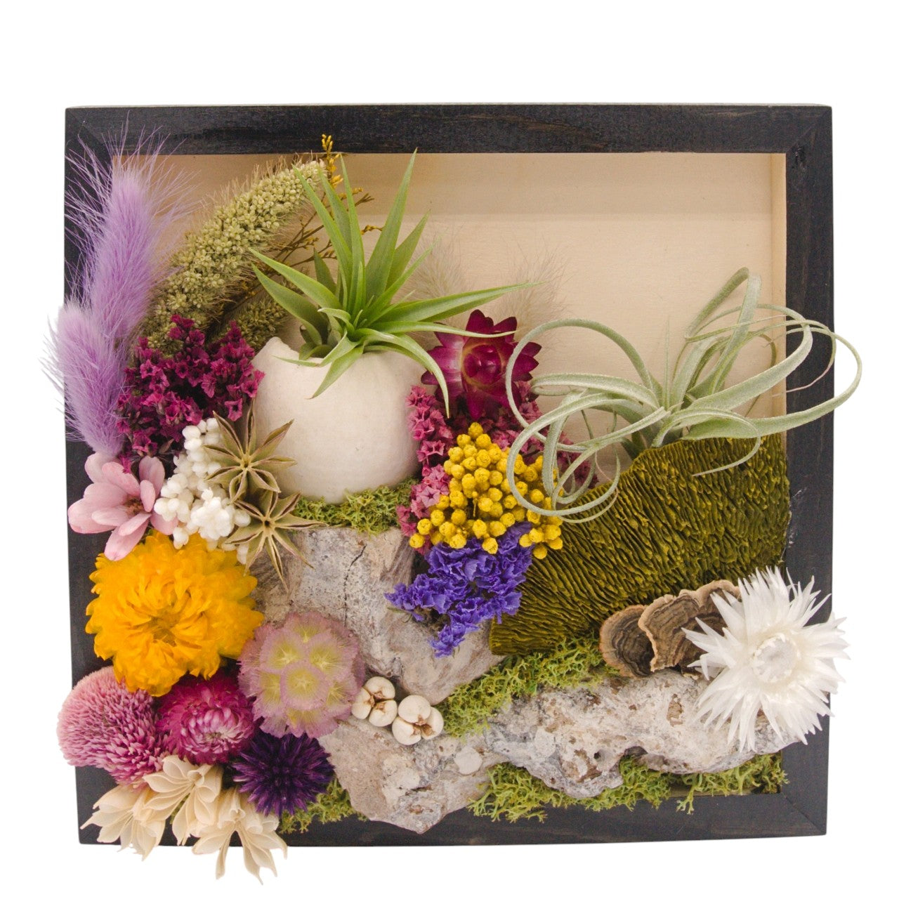 Airplant Landscape Frames 8x8 Purple Flowers
