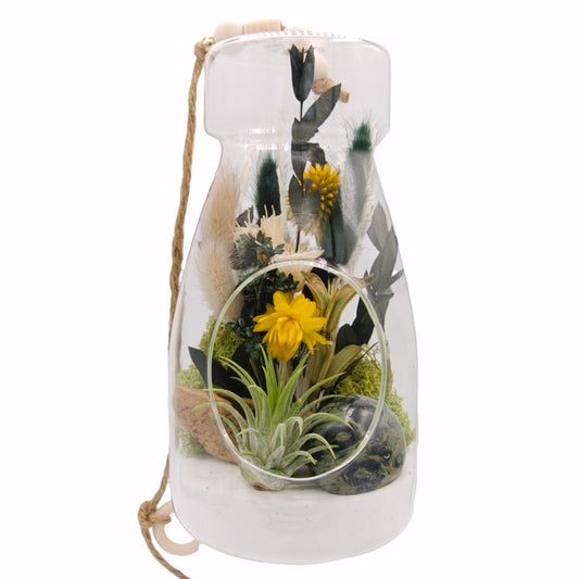 Airplant Bottle Terrarium - Kambaba jasper stone