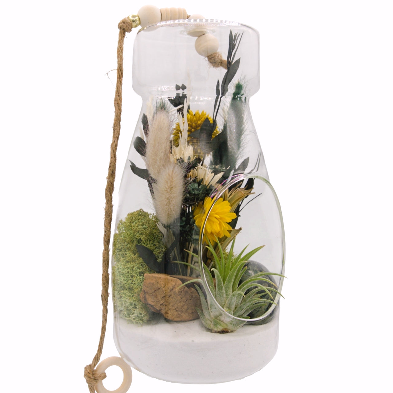 Airplant Bottle Terrarium - Kambaba jasper stone