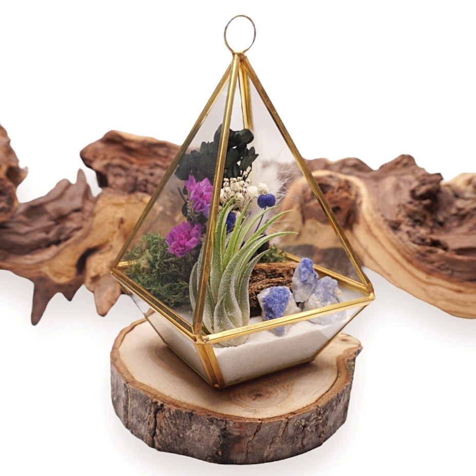 Victorian Airplant Terrarium - Blue Quartz