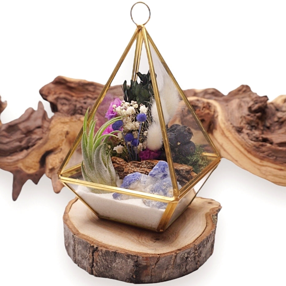 Victorian Airplant Terrarium - Blue Quartz