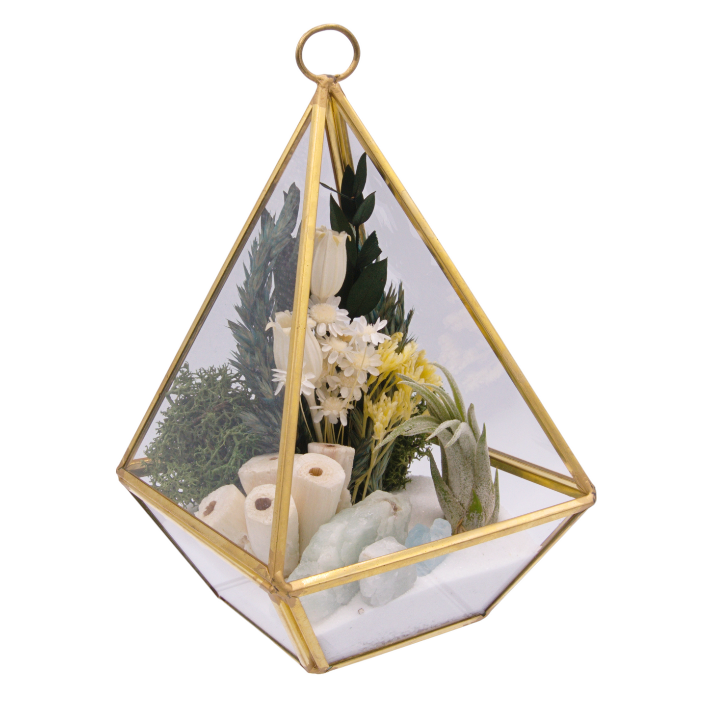 Victorian Airplant Terrarium - Aquamarine Crystals
