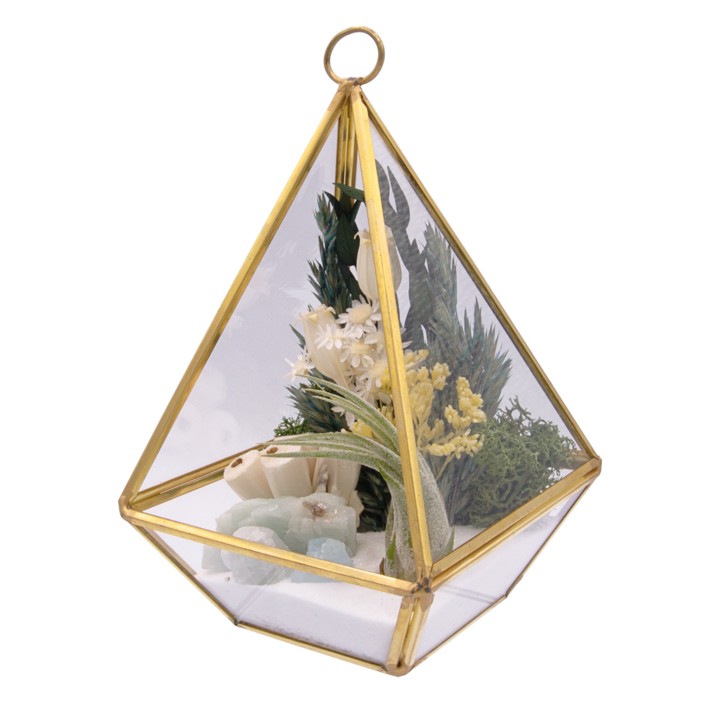 Victorian Airplant Terrarium - Aquamarine Crystals