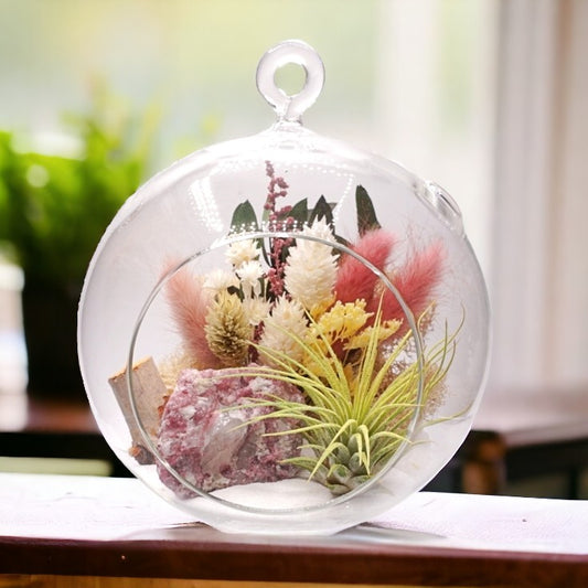Terrarium à bulle avec une plante aérienne et un cristal tourmaline rose