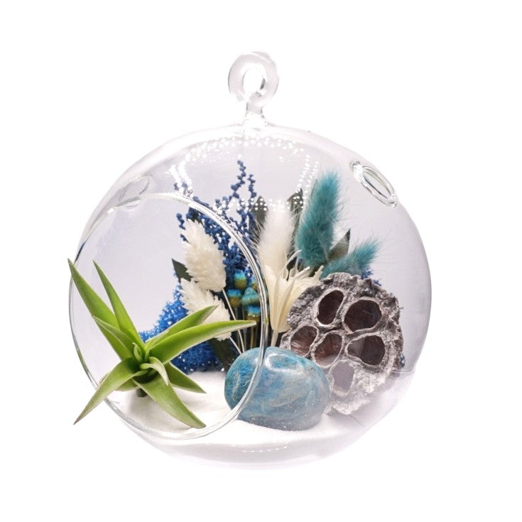 Terrarium à bulle avec une plante aérienne et une pierre d'apatite bleue