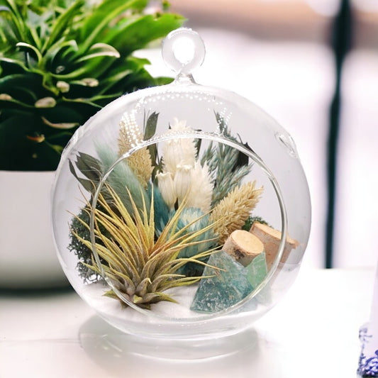 Terrarium à bulle avec une plante aérienne et un Cristal de Fluorite Turquoise