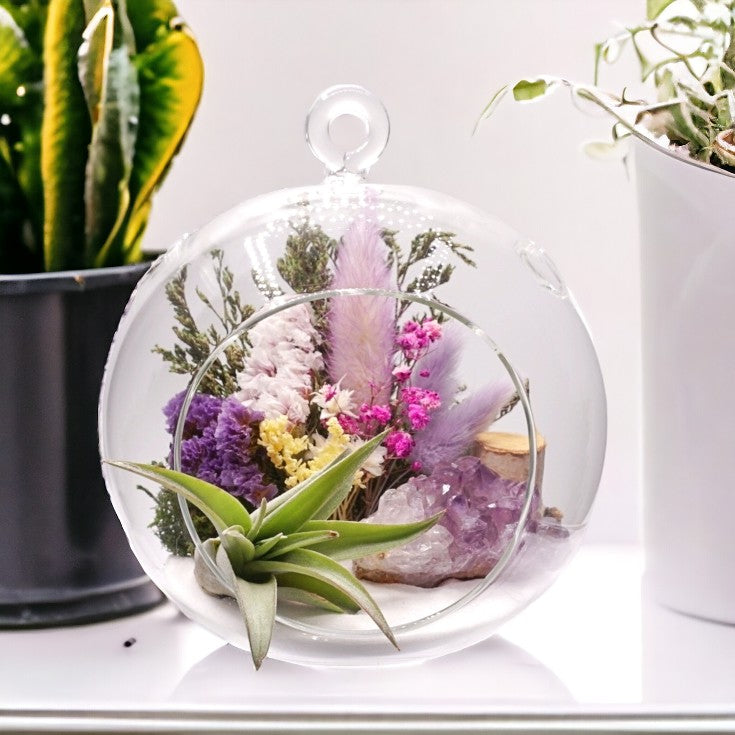 Terrarium à bulle avec une plante aérienne et un cristal d'améthyst