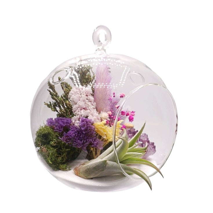 Terrarium à bulle avec une plante aérienne et un cristal d'améthyst
