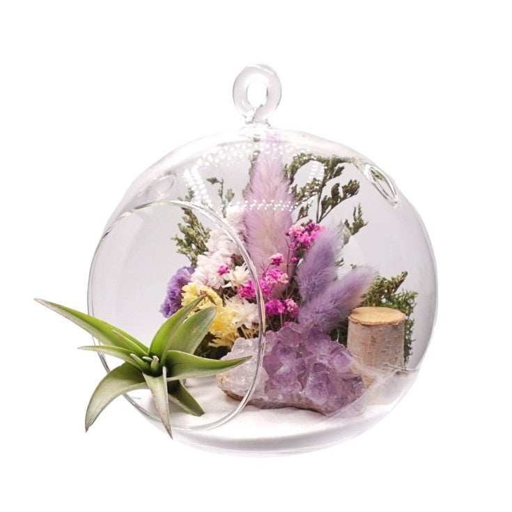 Terrarium à bulle avec une plante aérienne et un cristal d'améthyst