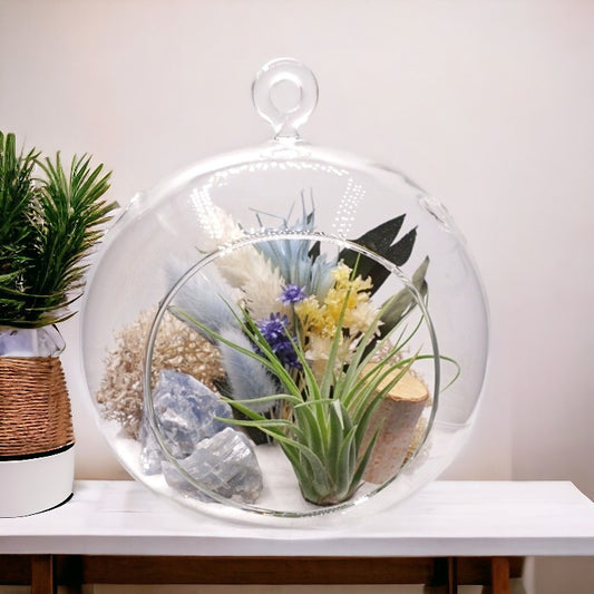 Terrarium à bulle avec une plante aérienne et des cristaux de calcite bleue.
