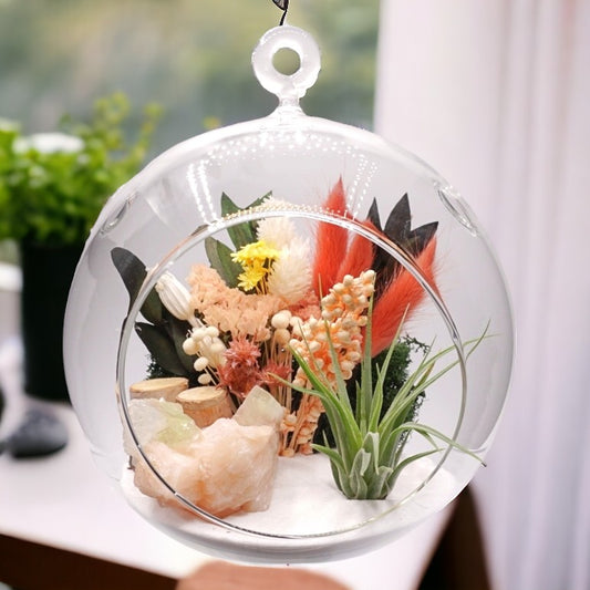 Bubble Airplant Terrarium Large with Stilbite Crystal