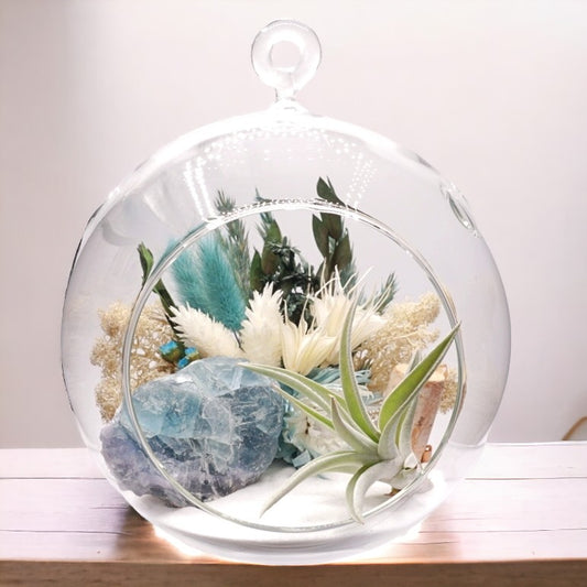 Terrarium à bulle avec une plante aérienne et un cristal de fluorine turquoise