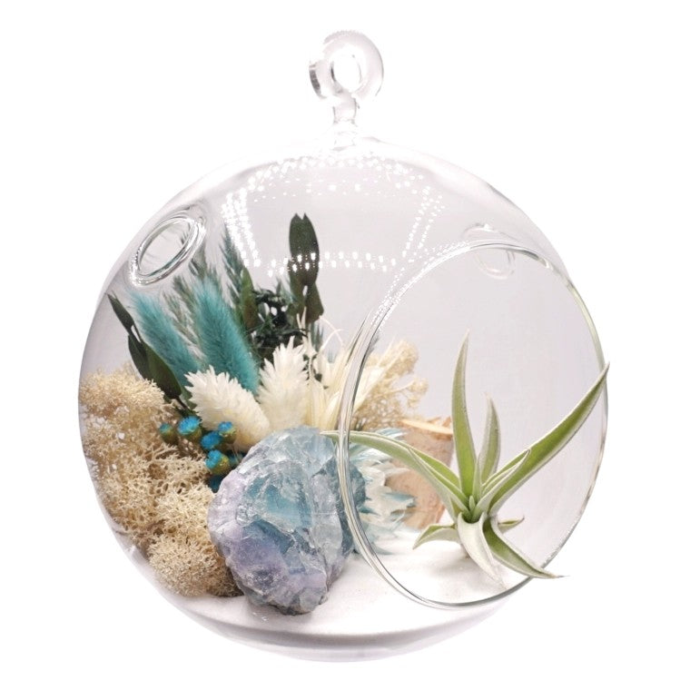 Bubble Airplant Terrarium Large with Turquoise Fluorite Crystal