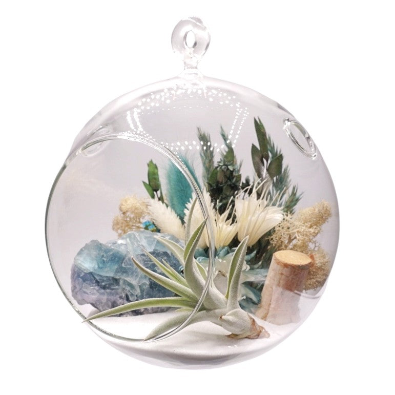 Bubble Airplant Terrarium Large with Turquoise Fluorite Crystal