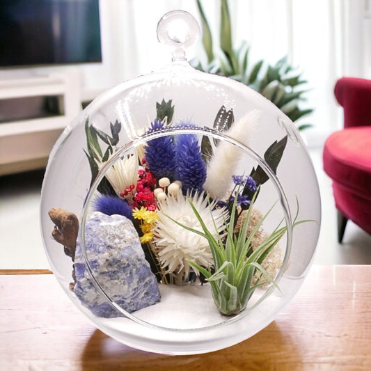 Bubble Airplant Terrarium Large with Sodalite stone