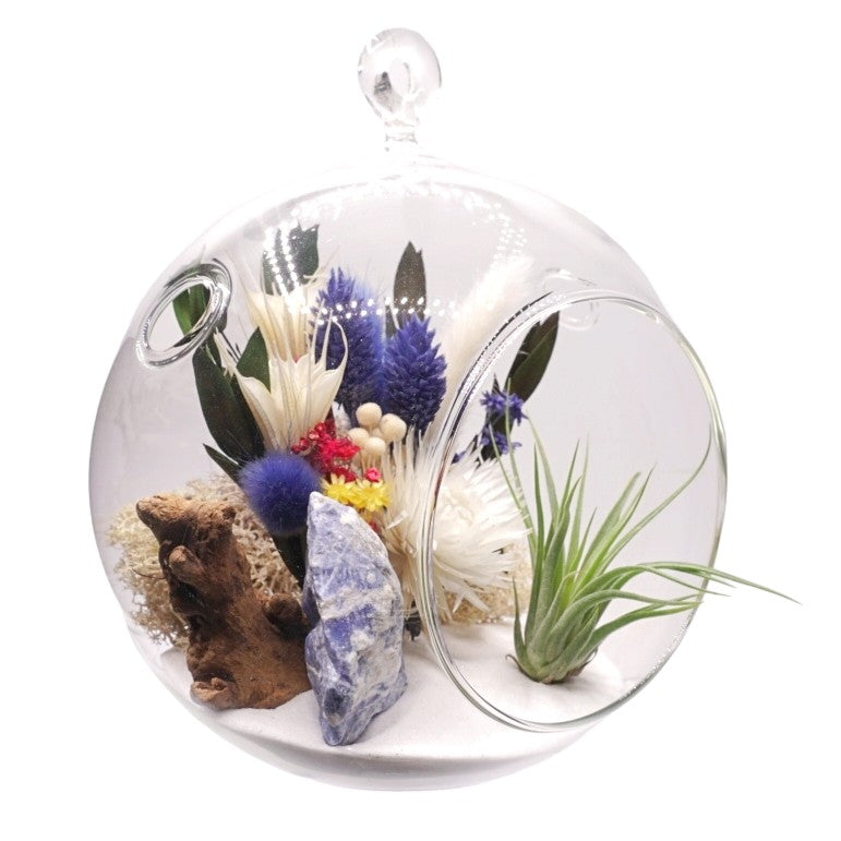 Bubble Airplant Terrarium Large with Sodalite stone