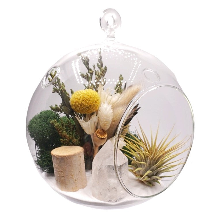 Terrarium à bulle avec une plante aérienne et un tour de quartz cristallin
