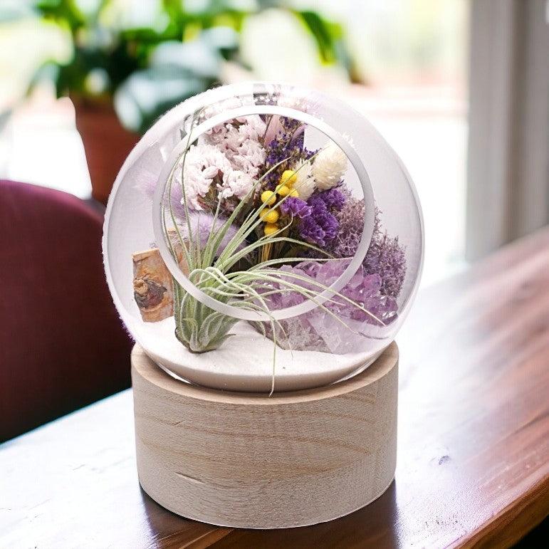 Terrarium à bulle moyen pour plante aérienne avec base en bois et cristal d'améthyste