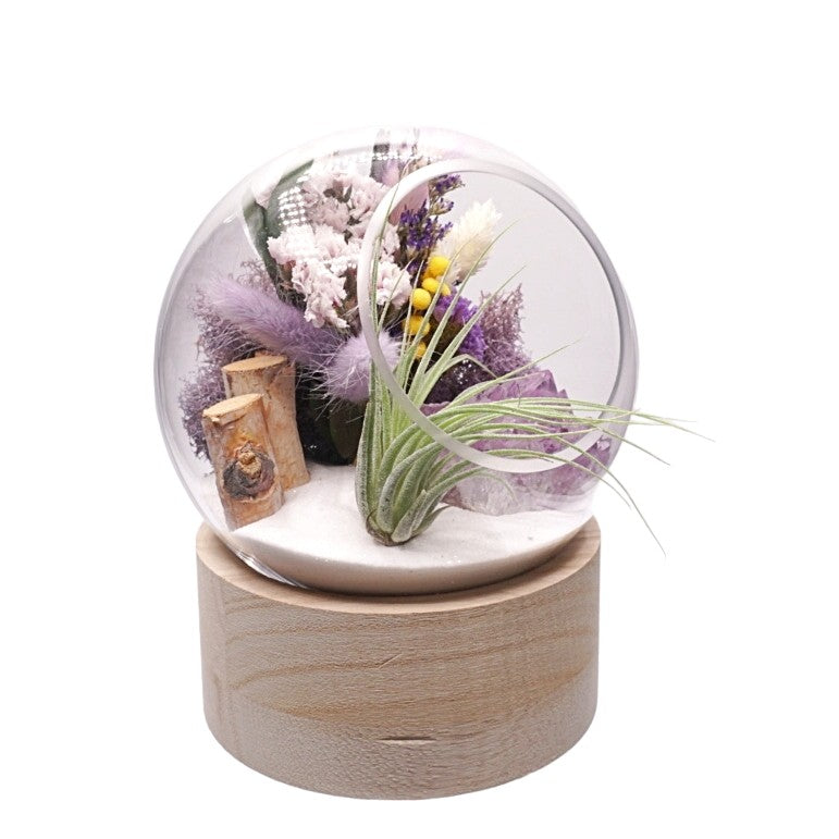 Terrarium à bulle moyen pour plante aérienne avec base en bois et cristal d'améthyste