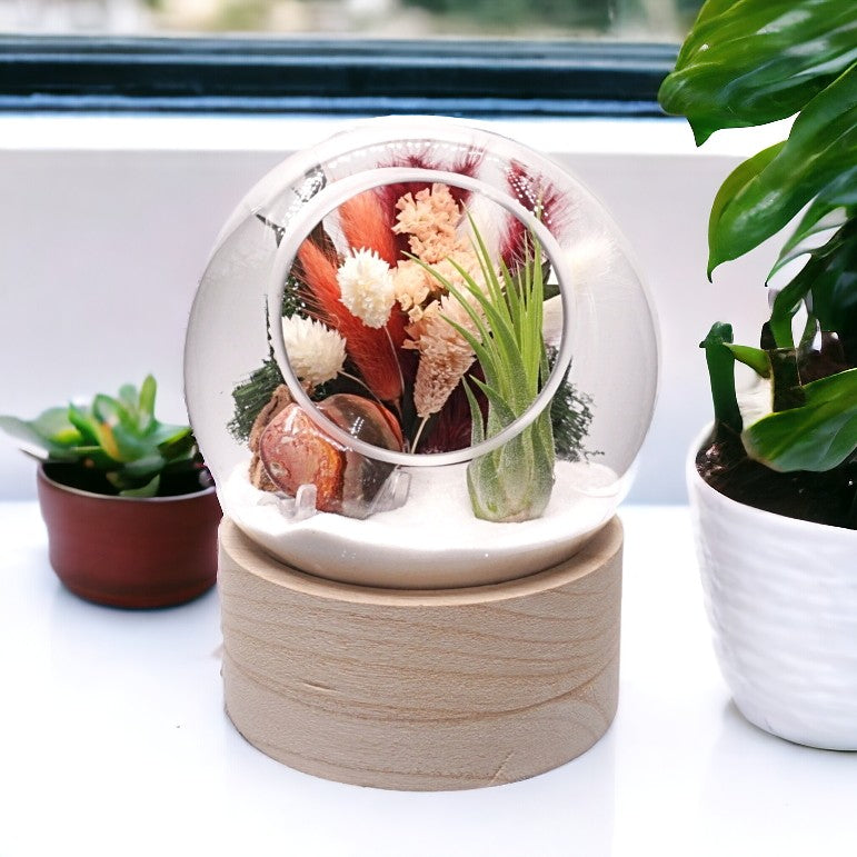 Terrarium à bulle moyen pour plante aérienne avec base en bois et cœur de jaspe