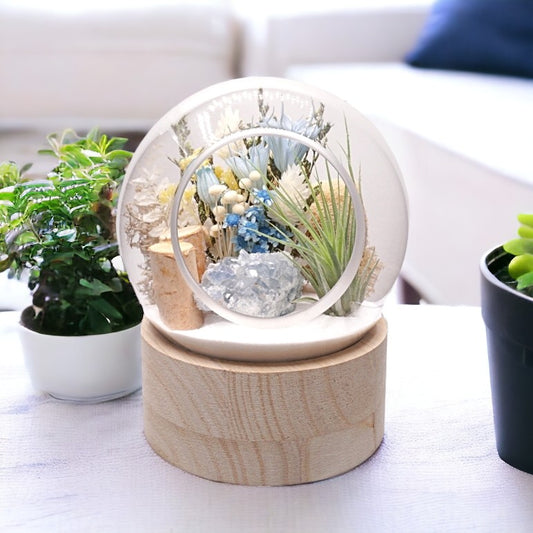 Terrarium à bulle moyen pour plante aérienne avec base en bois et celestite