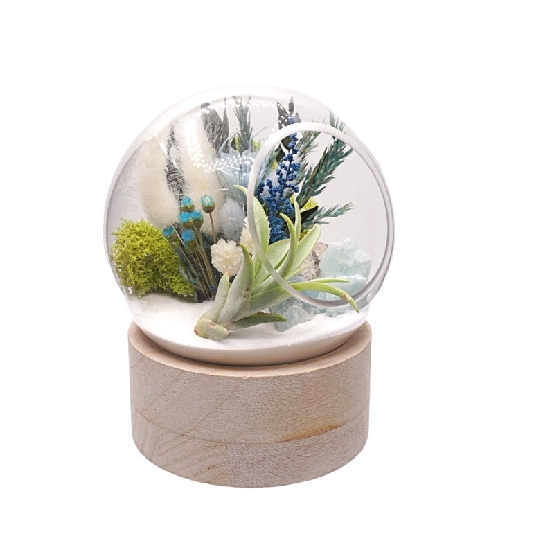 Terrarium à bulle moyen pour plante aérienne avec base en bois et cristaux d'aigue-marine