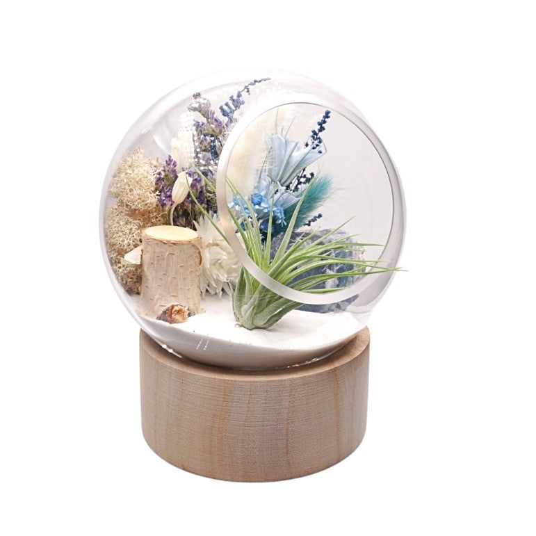 Terrarium à bulle grande pour plante aérienne avec base en bois et cristal de fluorine turquoise.