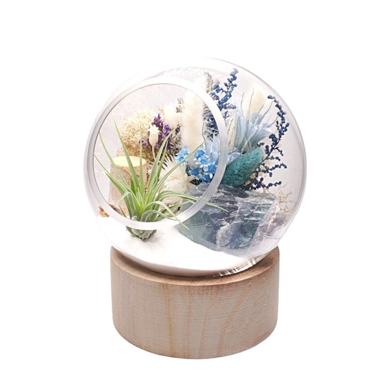 Terrarium à bulle grande pour plante aérienne avec base en bois et cristal de fluorine turquoise.