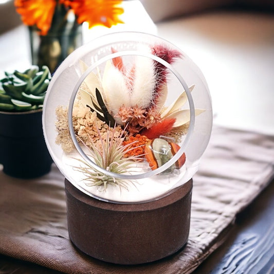 Terrarium à bulle grande pour plante aérienne avec base en bois et cœur de jaspe