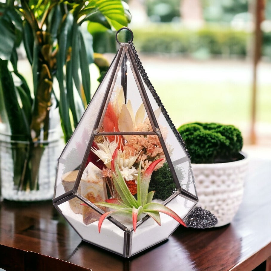 Grand Terrarium Victorien avec une plante aérienne et tour d'agate en dentelle.